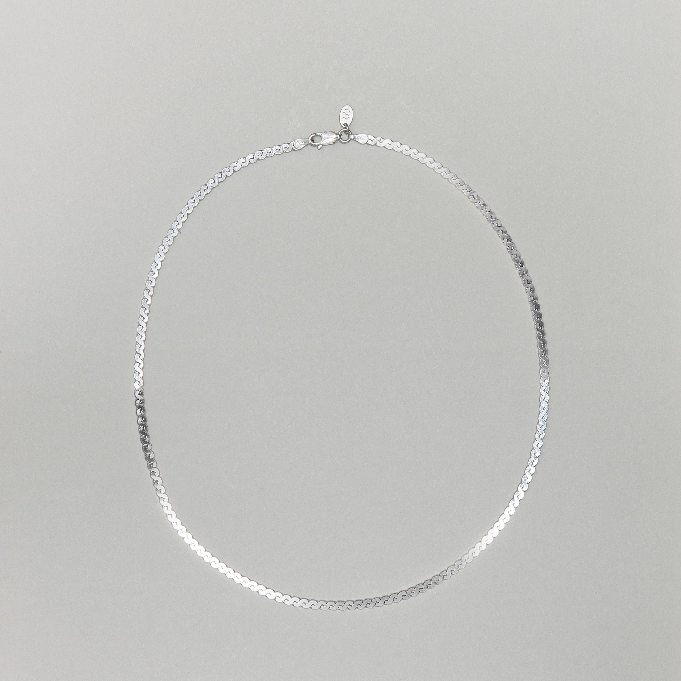 S-Link Chain Necklace