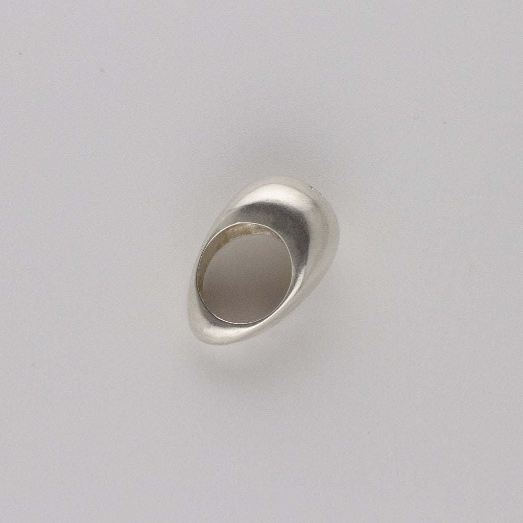 Salt Shaker Ring